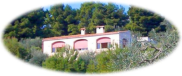 vieste, vieste appartamenti, vieste residence, vieste hotels, vieste vacanza, vieste alloggi, vieste agriturismo, vieste albergo, vieste pensione, vieste casa vacanza, vieste gargano, vieste pugnochiuso, pugnochiuso, gargano, puglia - Le magiche parole per la Tua vacanza a VIESTE