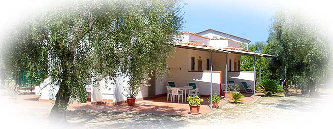 vieste, vieste appartamenti, vieste residence, vieste hotels, vieste vacanza, vieste alloggi, vieste agriturismo, vieste albergo, vieste pensione, vieste casa vacanza, vieste gargano, vieste pugnochiuso, pugnochiuso, gargano, puglia - Le magiche parole per la Tua vacanza a VIESTE
