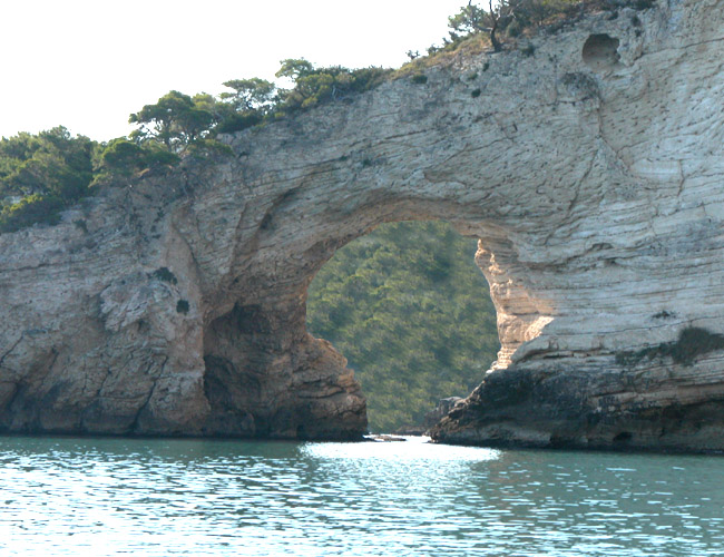 vieste, vieste appartamenti, vieste residence, vieste hotels, vieste vacanza, vieste alloggi, vieste agriturismo, vieste albergo, vieste pensione, vieste casa vacanza, vieste gargano, vieste pugnochiuso, pugnochiuso, gargano, puglia - Le magiche parole per la Tua vacanza a VIESTE