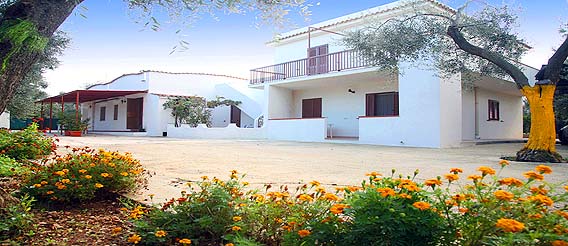 vieste, vieste appartamenti, vieste residence, vieste hotels, vieste vacanza, vieste alloggi, vieste agriturismo, vieste albergo, vieste pensione, vieste casa vacanza, vieste gargano, vieste pugnochiuso, pugnochiuso, gargano, puglia - Le magiche parole per la Tua vacanza a VIESTE