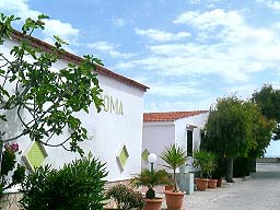 vieste, vieste appartamenti, vieste residence, vieste hotels, vieste vacanza, vieste alloggi, vieste agriturismo, vieste albergo, vieste pensione, vieste casa vacanza, vieste gargano, vieste pugnochiuso, pugnochiuso, gargano, puglia - Le magiche parole per la Tua vacanza a VIESTE