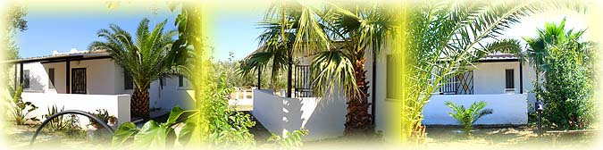 vieste, vieste pensione, vieste appartamenti, vieste residence, vieste hotels, vieste vacanza, vieste alloggi, vieste agriturismo, vieste albergo,  vieste casa vacanza, vieste gargano, vieste pugnochiuso, pugnochiuso, gargano, puglia - Le magiche parole per la Tua vacanza a VIESTE