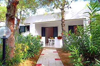 vieste, vieste appartamenti, vieste residence, vieste hotels, vieste vacanza, vieste alloggi, vieste agriturismo, vieste albergo, vieste pensione, vieste casa vacanza, vieste gargano, vieste pugnochiuso, pugnochiuso, gargano, puglia - Le magiche parole per la Tua vacanza a VIESTE