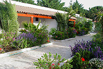 vieste, vieste appartamenti, vieste residence, vieste hotels, vieste vacanza, vieste alloggi, vieste agriturismo, vieste albergo, vieste pensione, vieste casa vacanza, vieste gargano, vieste pugnochiuso, pugnochiuso, gargano, puglia - Le magiche parole per la Tua vacanza a VIESTE