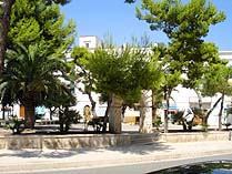 vieste, pensione, vieste pensione, vieste appartamenti, vieste residence, vieste hotels, vieste vacanza, vieste alloggi, vieste agriturismo, vieste albergo,  vieste casa vacanza, vieste gargano, vieste pugnochiuso, pugnochiuso, gargano, puglia - Le magiche parole per la Tua vacanza a VIESTE - www.viestedoc.it
