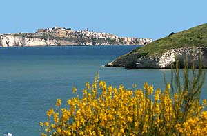 vieste, vieste appartamenti, vieste residence, vieste hotels, vieste vacanza, vieste alloggi, vieste agriturismo, vieste albergo, vieste pensione, vieste casa vacanza, vieste gargano, vieste pugnochiuso, pugnochiuso, gargano, puglia - Le magiche parole per la Tua vacanza a VIESTE