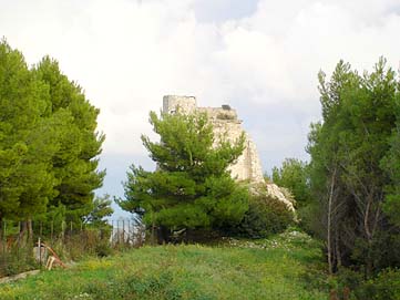 vieste, vieste appartamenti, vieste residence, vieste hotels, vieste vacanza, vieste alloggi, vieste agriturismo, vieste albergo, vieste pensione, vieste casa vacanza, vieste gargano, vieste pugnochiuso, pugnochiuso, gargano, puglia - Le magiche parole per la Tua vacanza a VIESTE